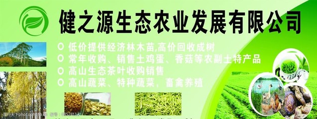 綠野豐饒 農(nóng)副土特產(chǎn)品的自然味道